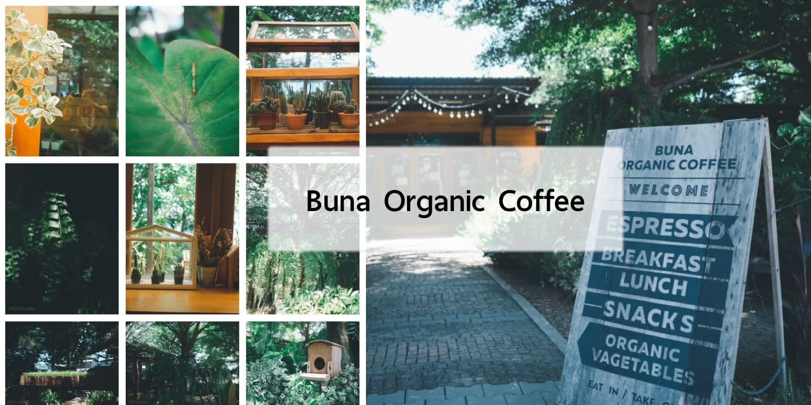 ร้าน Buna Organic Coffee คาเฟ่ที่มีธรรมชาติรายล้อม ย่านแบริ่ง